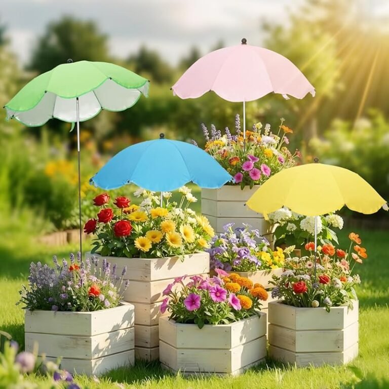 Top 4 Full Sun Flowers for Pots That Thrive in Bright Light