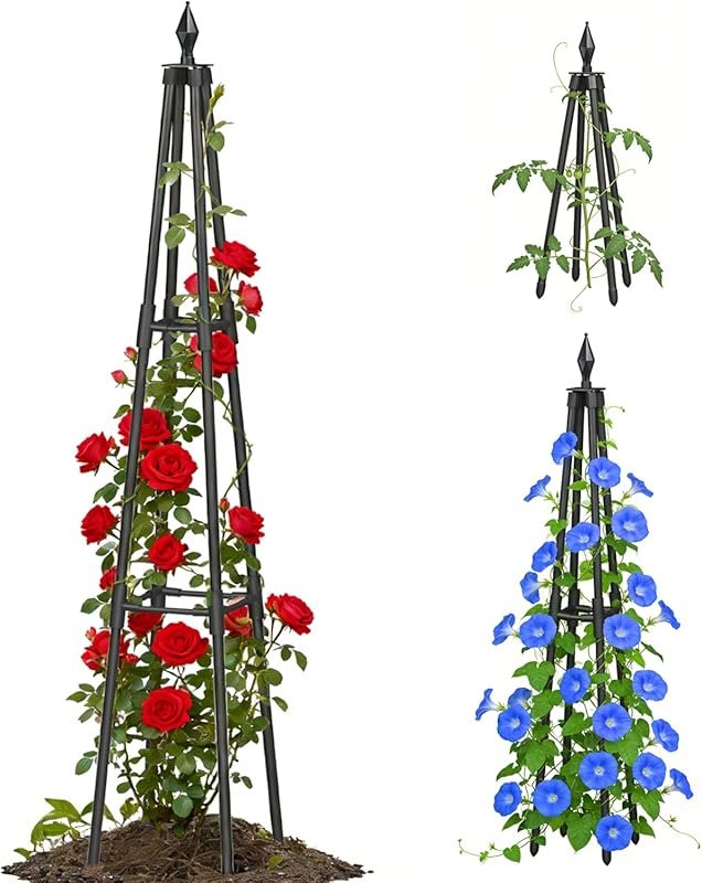 5 Best Climbing Plants for Trellis That Thrive