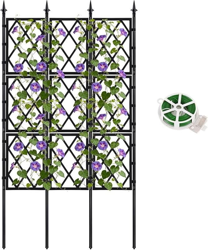 4 Best Climbing Plants for Fences That Transform Your Space