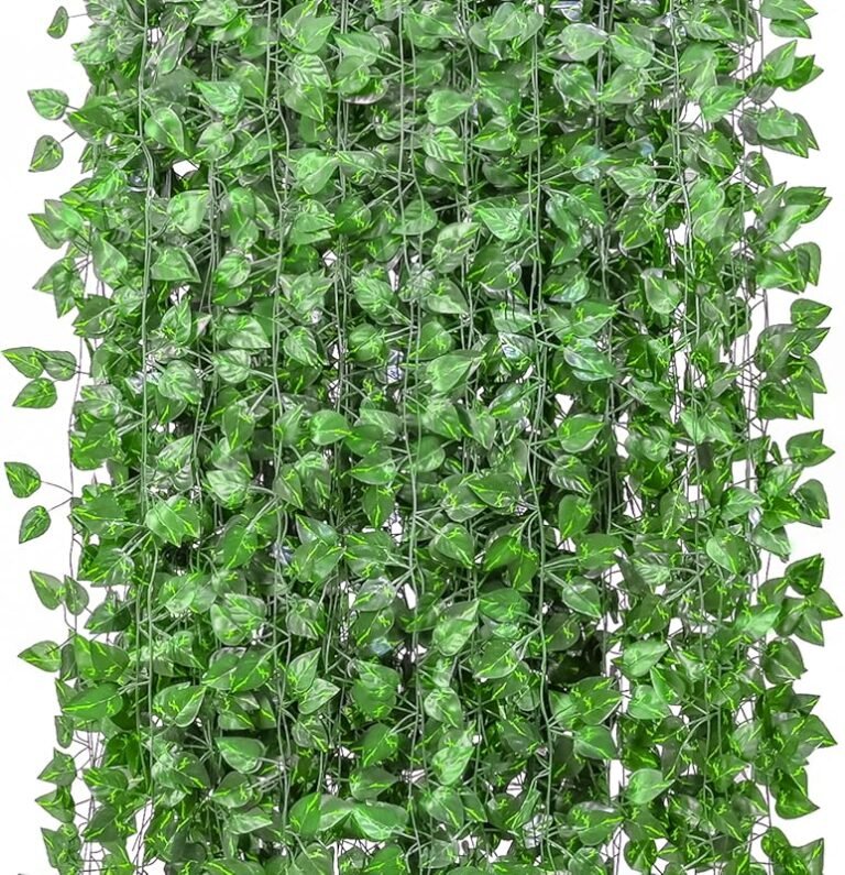4 Best Climbing Vines for Full Sun That Thrive in Heat