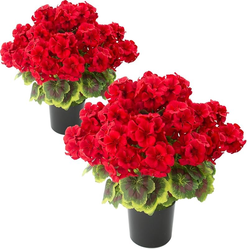 2 Pcs 19