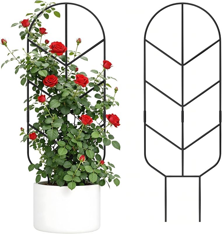 2-Pack 30-Inch Large Metal Plant Trellis for Indoor & Outdoor Use