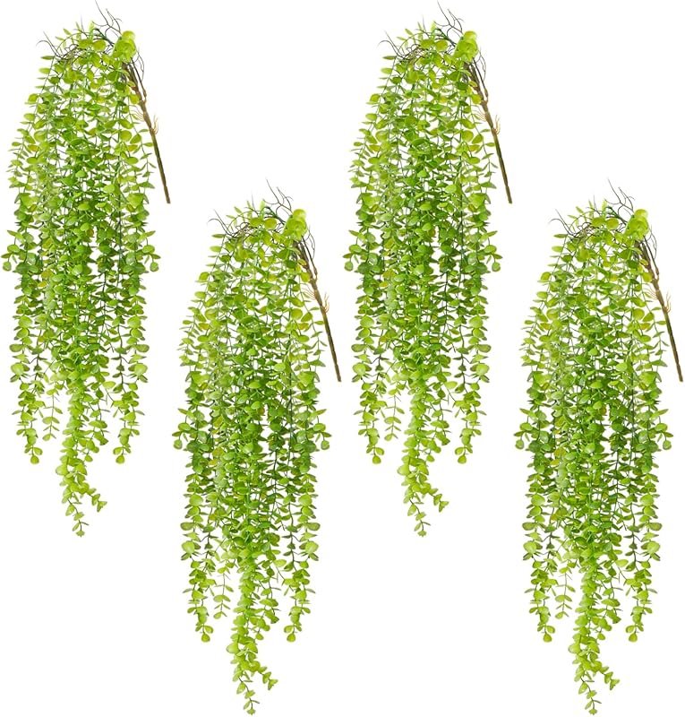 4 Best Trailing Plants for Window Boxes That Thrive