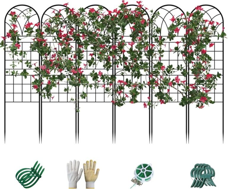 5 Best Climbing Roses for Fences That Thrive