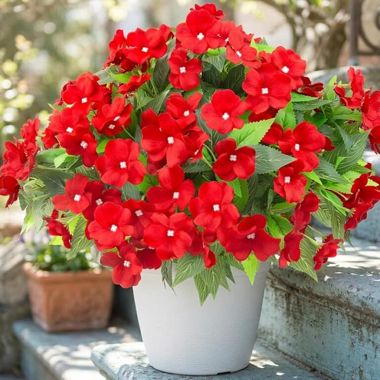 4 Best Winter Flowers That Thrive in Cold Weather