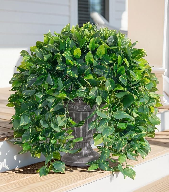 5 Best Plants for Pergola to Transform Your Space
