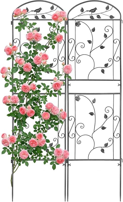 2 Pack Rustproof Metal Garden Trellis for Climbing Roses, Clematis, an