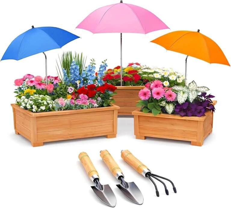 4 Best Clematis for Shade That Thrive in Low Light