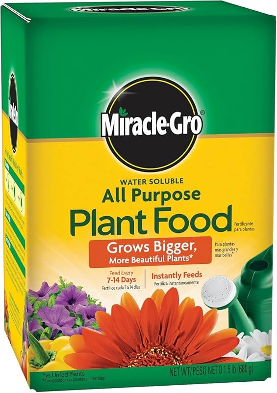 Top 4 Plant Foods for Hydrangeas That Deliver Real Results