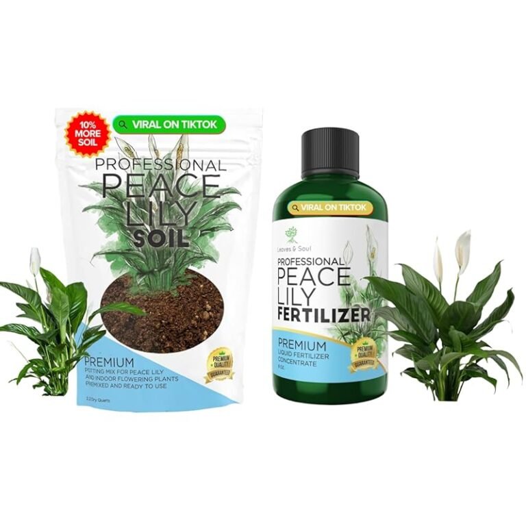 Top 5 Best Soil for Peace Lilies for Healthy Growth