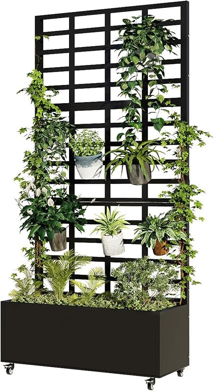 5 Fast-Growing Bushes for Privacy That Deliver Instant Results