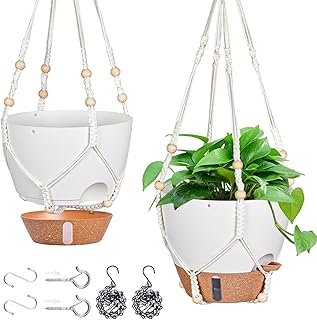 10 Inch Self Watering Hanging Planters