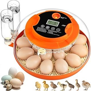 18 Egg Incubators Hatching Eggs