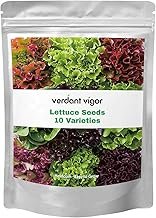 20 000+ Lettuce Seeds Heirloom Vegetable