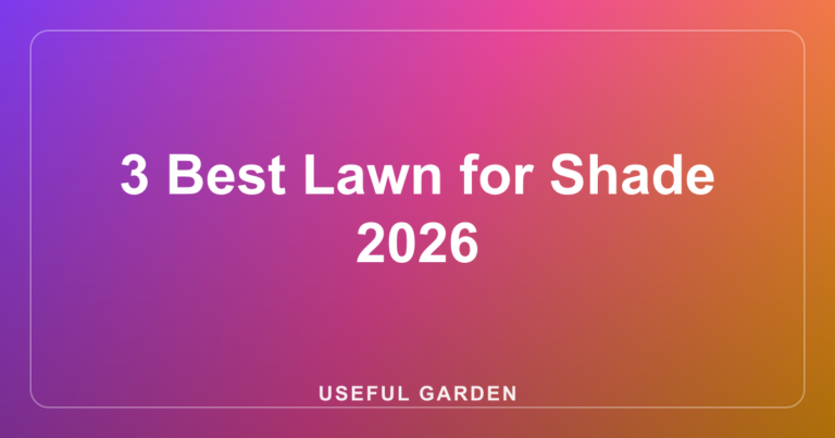 3 Best Lawn for Shade 2026