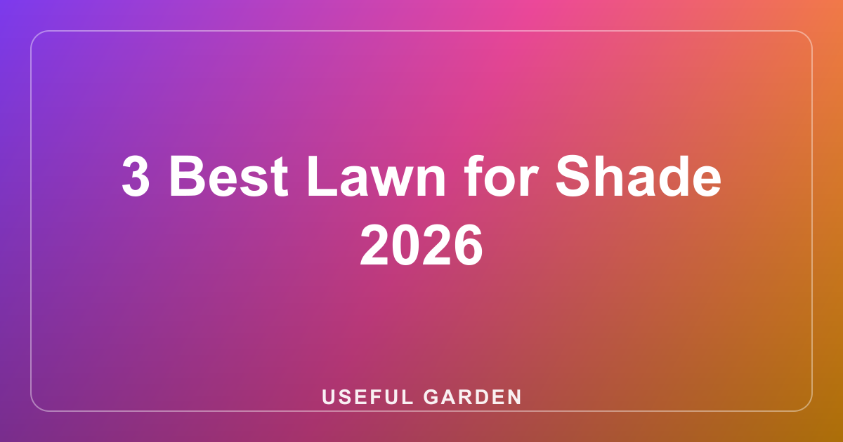 3 Best Lawn for Shade 2026