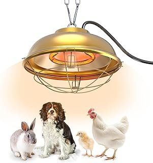 300 Watt Heat Lamp Chicken Coop