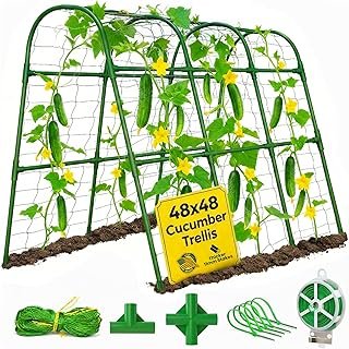 48x48 Cucumber Trellis Raised Bed