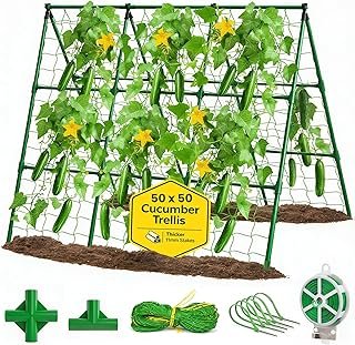 50x50 Cucumber Trellis Raised Bed