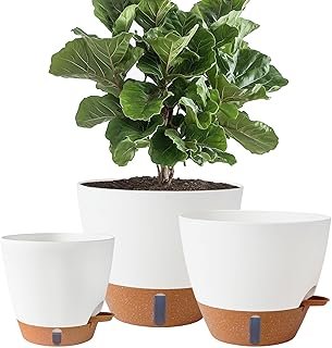 8/10/12 Inch Self Watering Pots Indoor/Outdoor