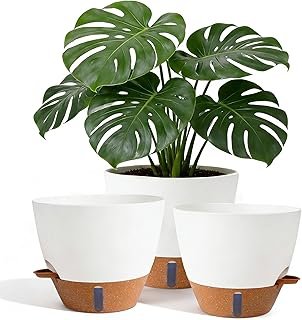 8/9/10 Inch Self Watering Pots