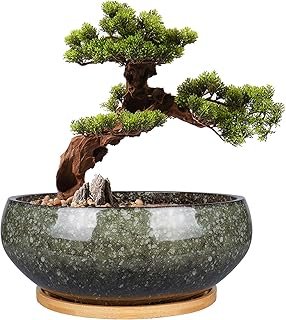 8 Inch Ceramic Bonsai Planter Pot