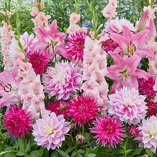 All-in-One Flower Bulb Garden Kit