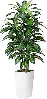 Artificial Dracaena Plant Indoor 5FT
