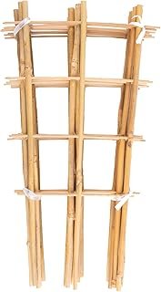Avalution 10 Bamboo Trellis Climbing Plants