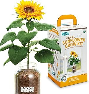 Back Roots Sunflower Organic Windowsill Planter