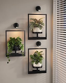 Bamworld Hanging Planters Indoor Plants Wall
