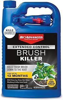 BioAdvanced Extended Control Brush Killer Spray