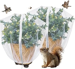Blueberry Bush Netting Cover 2 4.5