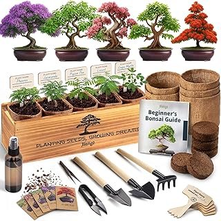 Bonsai Tree Kit Deluxe