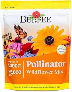 Burpee Wildflower 25 000 Bulk 1