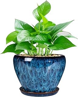 Ceramic Modern Glaze Succulent Planter Pot