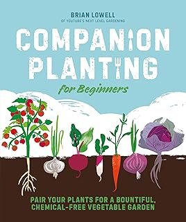 Companion Planting Beginners Pair Your Plants