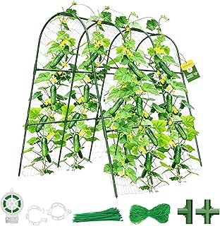 Cucumber Trellis Raised Bed