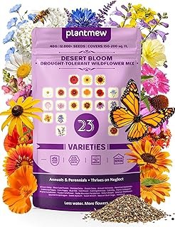 Desert Bloom Drought-Tolerant Wildflower Mix