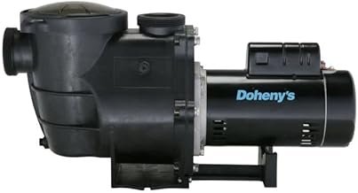 Doheny's Inground Swimming Pool Pro Pump