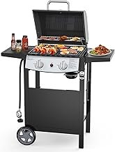 Electactic 2-Burner Propane Gas BBQ Grill