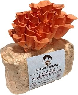 Forest Origins Pink Oyster Mushroom Grow