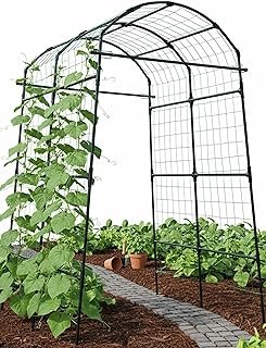 Garden Trellis Arch 7FT PP-Coated Stainless