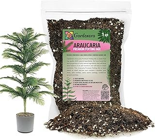 GARDENERA Premium Araucaria Potting Soil Mix