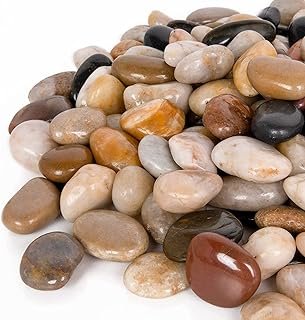 GASPRO 15-lb Natural River Rocks Landscaping