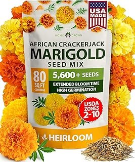 HOME GROWN Marigold Seeds Bulk Mix