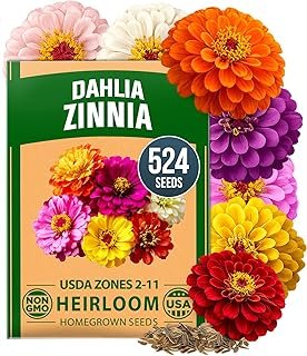 HOME GROWN Zinnia Dahlia Seeds 2026