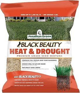 Jonathan Green (10514) Black Beauty Heat