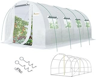 KING BIRD Premium 20x10x6.6FT Greenhouse Outdoors