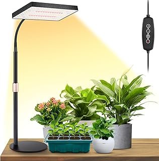LBW Desk Grow Light